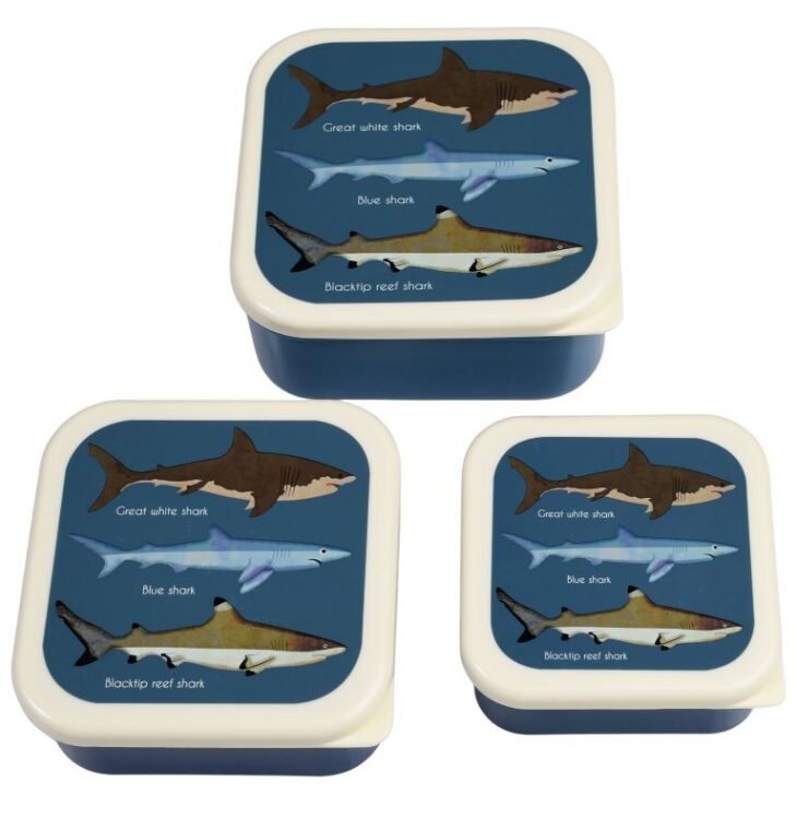 Sharks Snack boxes - Rex&London
