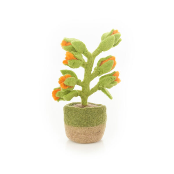 Felt so good - Handmade Felt Happy Houseplants Artificial Plant Cactus Decoration (Orange Bloom)