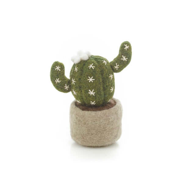 Felt so good - Miniature Plant Barrel Cactus