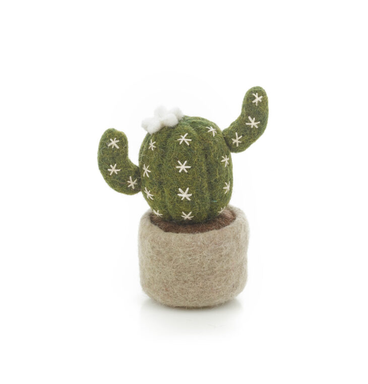 Felt so good - Miniature Plant Barrel Cactus