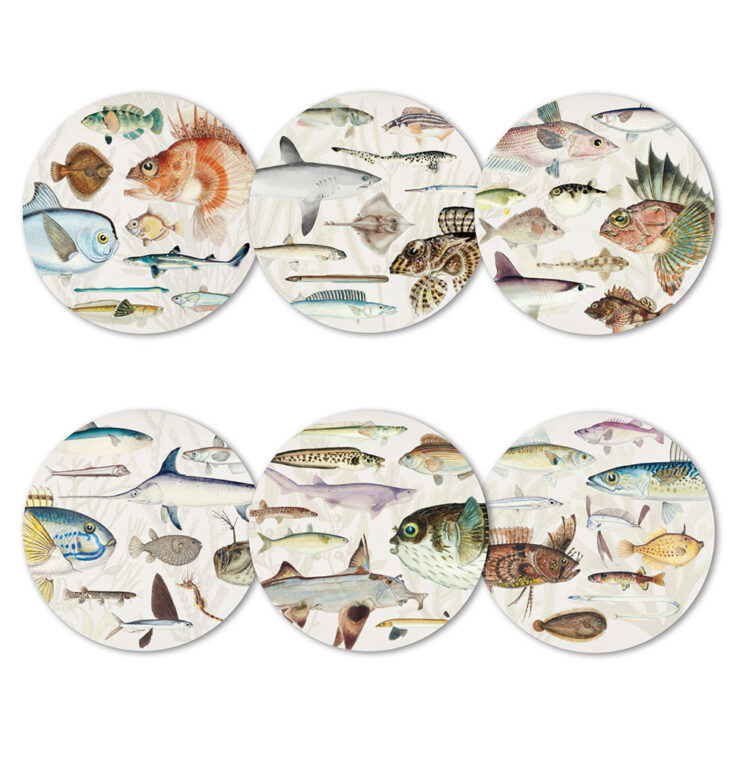 Fishes of NZ Set of 6 Coasters