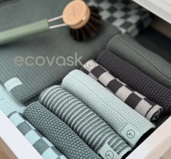 Ecovask