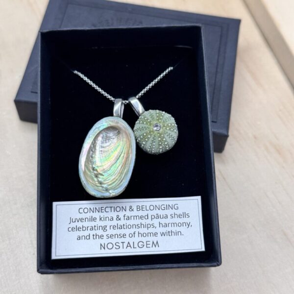 NOSTALGEM- PAUA & KINA SHELL PAIR NECKLACE (LARGE /SILVER)