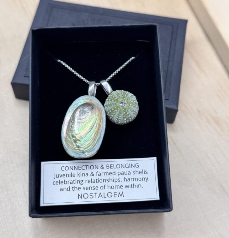NOSTALGEM- PAUA & KINA SHELL PAIR NECKLACE (LARGE /SILVER)