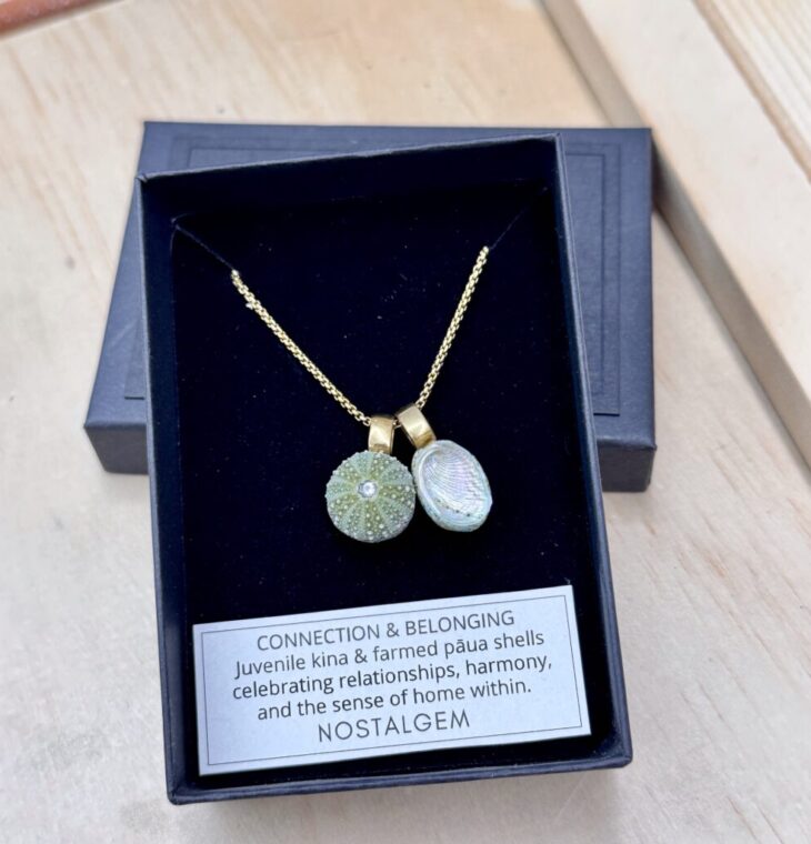 NOSTALGEM- PAUA & KINA SHELL PAIR NECKLACE (Small/Gold)