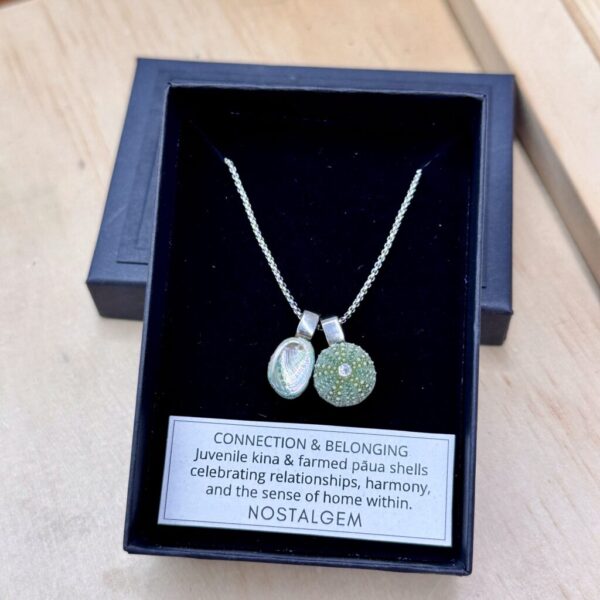 Nostalgem- Paua & Kina Shell Pair Necklace (Sliver / Small)