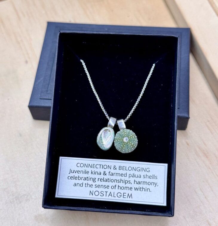 Nostalgem- Paua & Kina Shell Pair Necklace (Sliver / Small)
