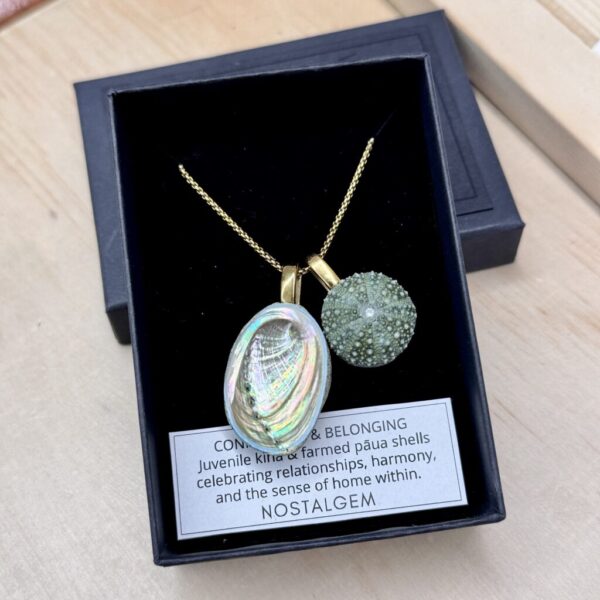 NOSTALGEM- PAUA & KINA SHELL PAIR NECKLACE (LARGE /GOLD)