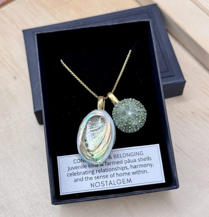 NOSTALGEM- PAUA & KINA SHELL PAIR NECKLACE (LARGE /GOLD)