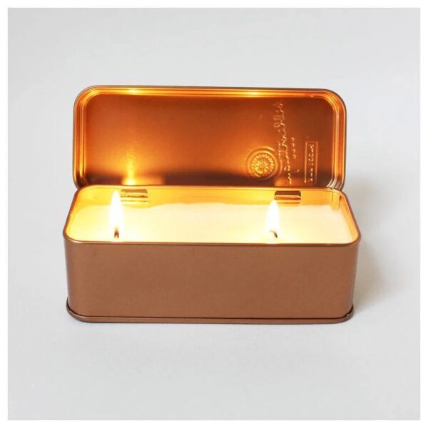 Paddywax Library Two Wick Travel Candle Jane Austen